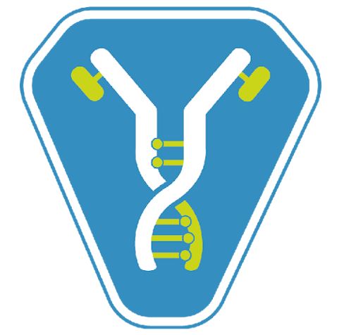 Ymolution